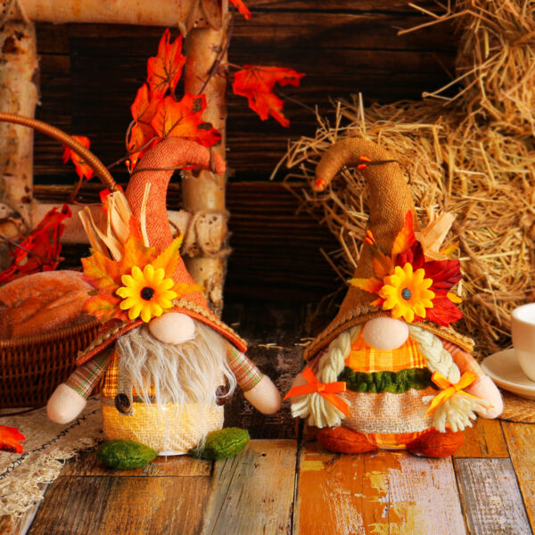Thanksgiving Scarecrow - Image 4